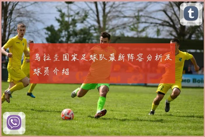 乌拉圭国家足球队最新阵容分析及球员介绍