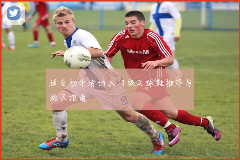 适合初学者的入门级足球鞋推荐与购买指南