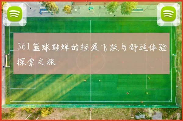 361篮球鞋蝉的轻盈飞跃与舒适体验探索之旅