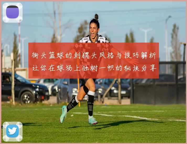 街头篮球的刺猬头风格与技巧解析让你在球场上独树一帜的秘诀分享