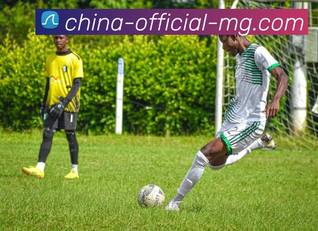 满贯体育中国平台生态图